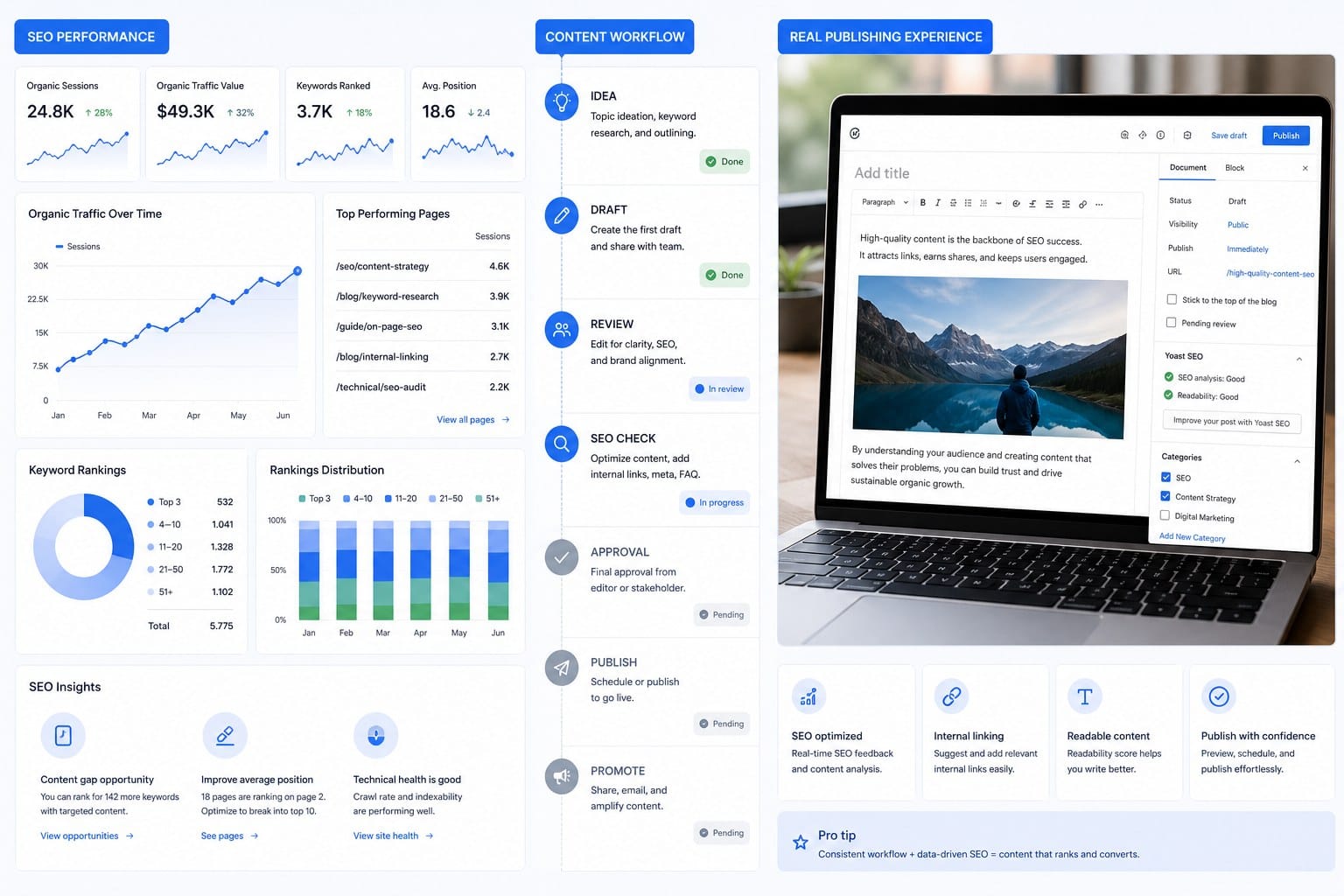 Infographic: SEO performance, content workflow, and real publishing experience